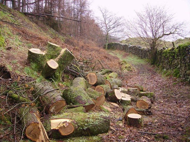 Log Pile