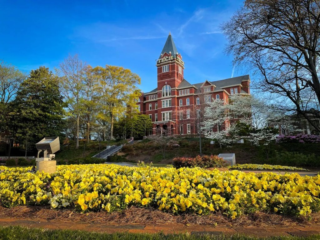 A red brick building with a tall pointed tower displaying the word "TECH" near the top, surrounded by trees with green and white blossoms. In the foreground, there is a large bed of vibrant yellow flowers under a clear blue sky.